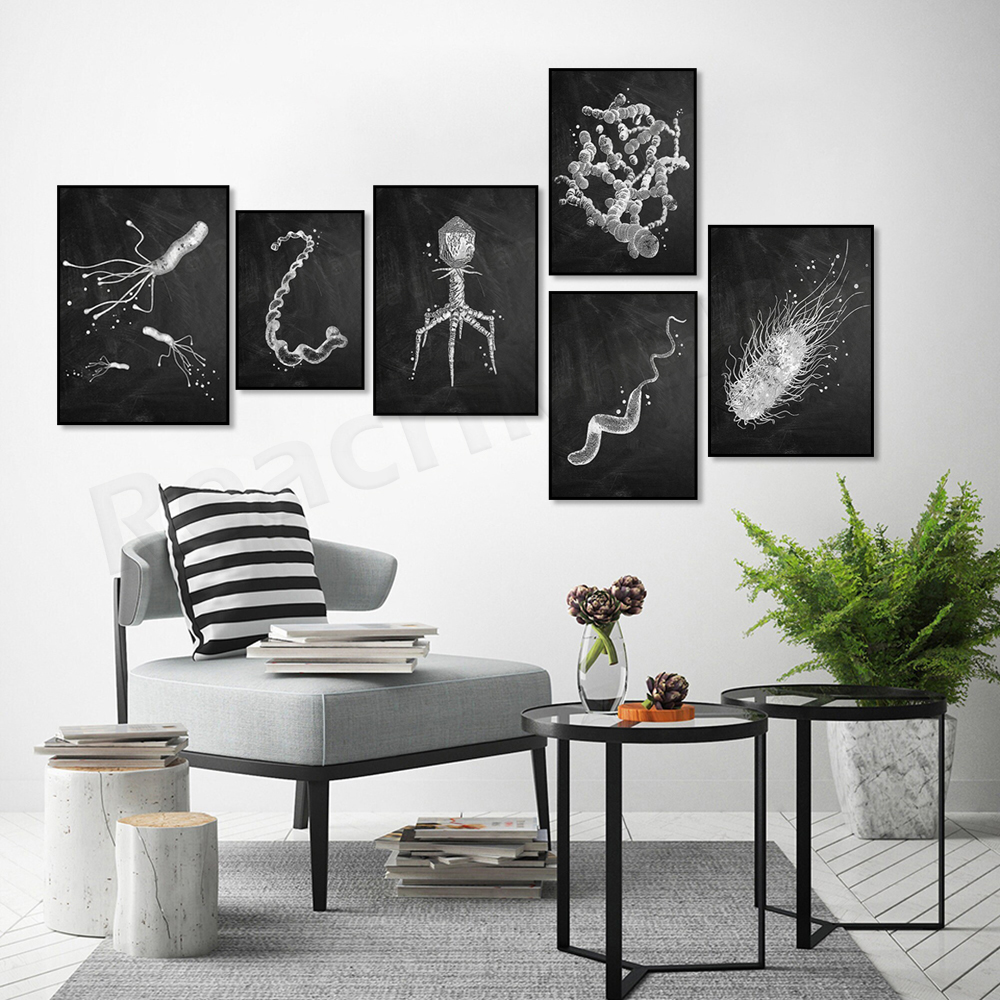 Bacteria Types Poster Microbio – обзор и цена Medical Lab Posters