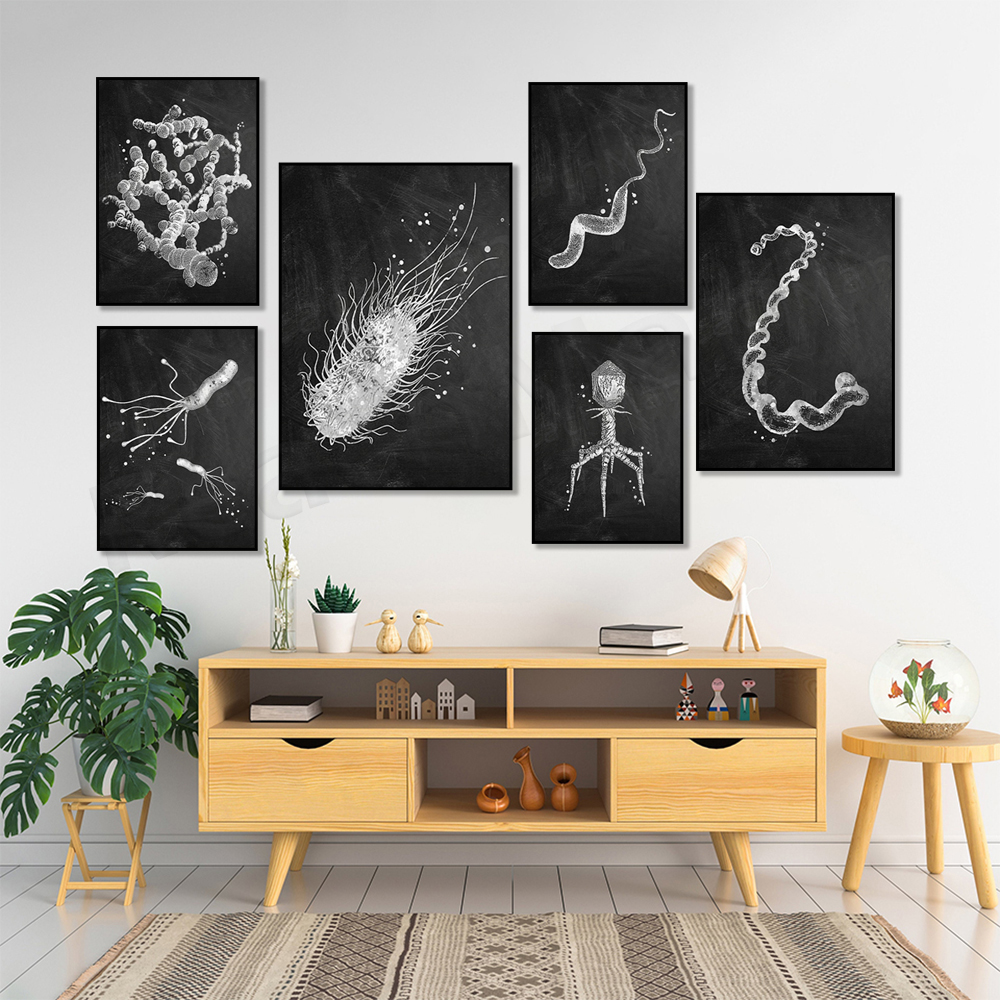 Bacteria Types Poster Microbio – обзор и цена Medical Lab Posters
