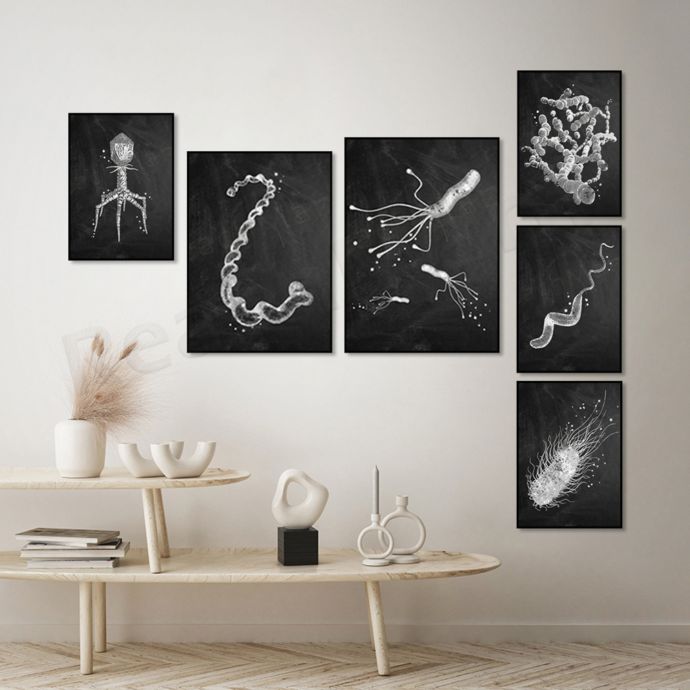 Bacteria Types Poster Microbio – обзор и цена Medical Lab Posters