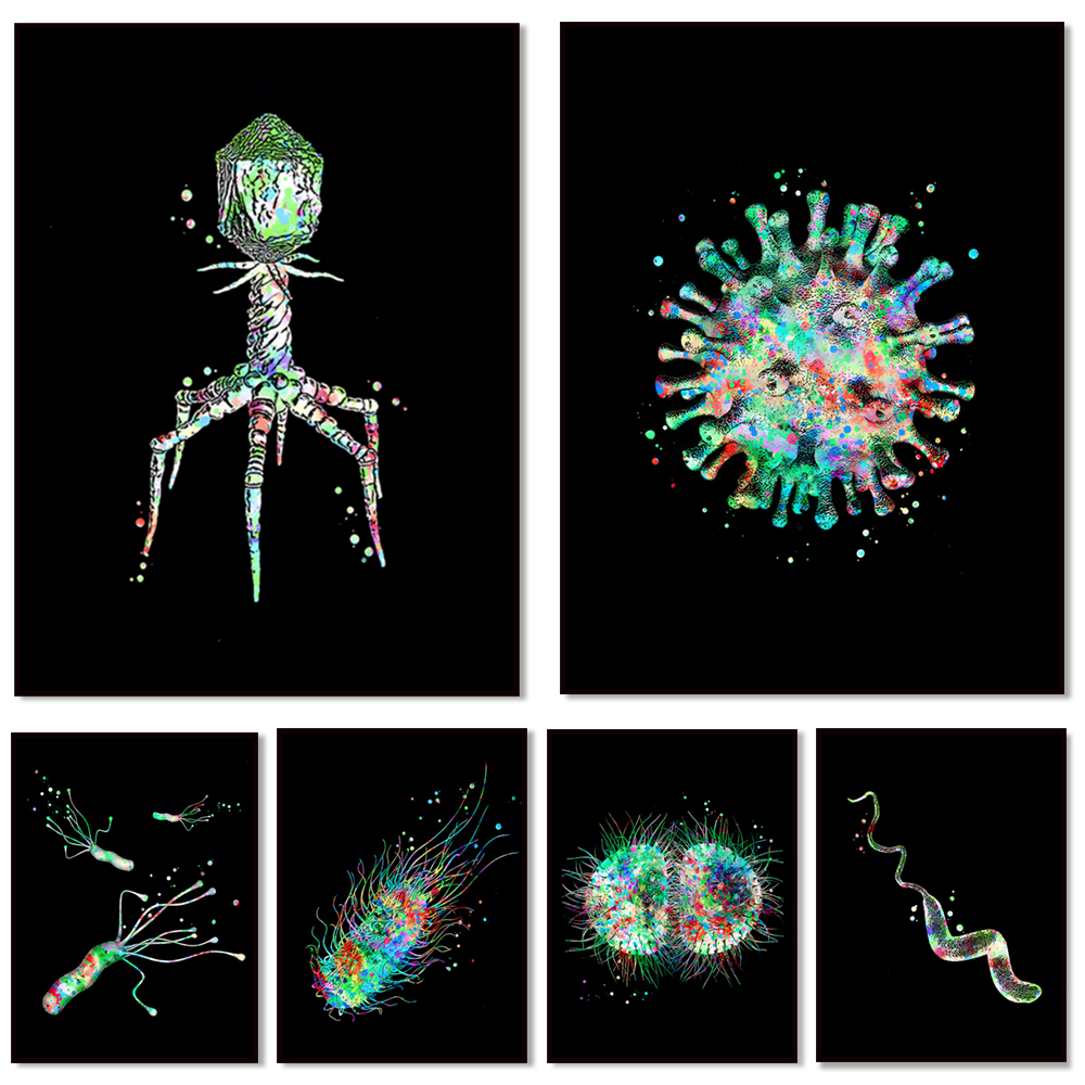 Microorganism Art Bacteria Art – обзор и цена Medical Lab Posters